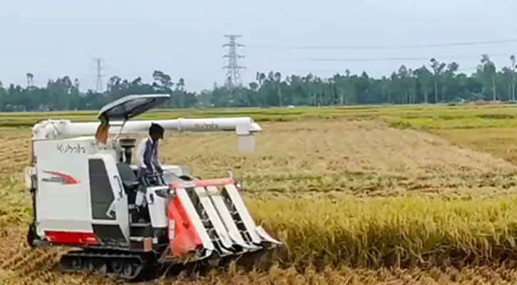 শ্রমিক সংকটে কৃষকের ভরসা এখন কম্বাইন্ড হারভেস্টার মেশিন